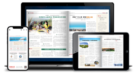 數字報刊